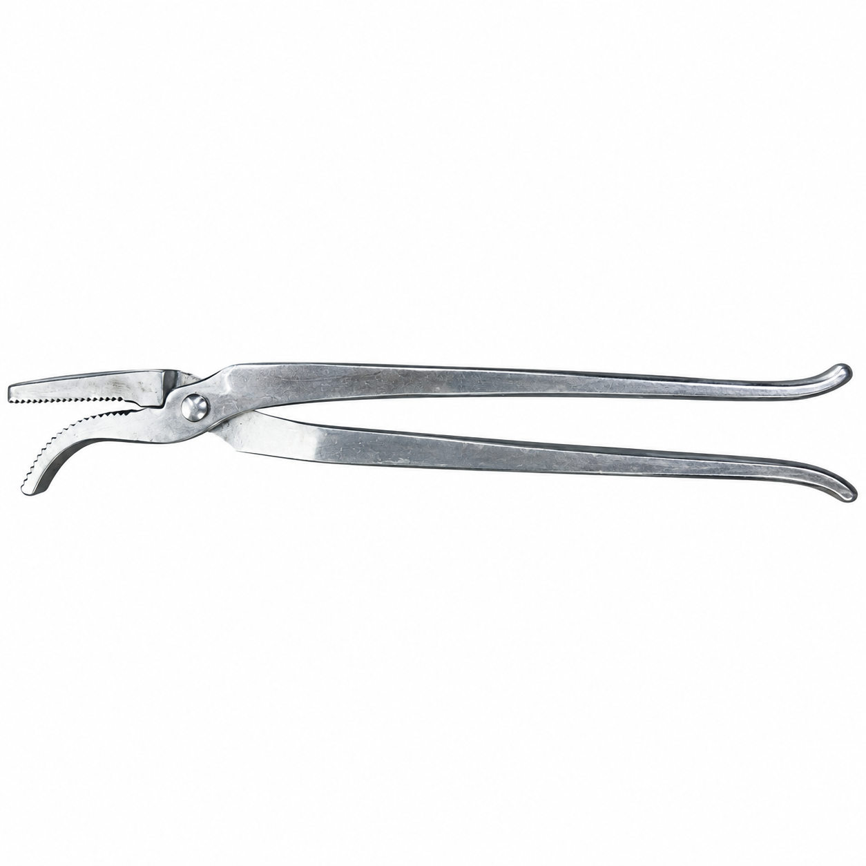 13 Stainless Steel Veterinary Tooth Extracting Forceps / Curved Serrated Extraction Pliers - Image 1