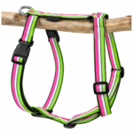 Multicolor Striped Nylon Dog Harness