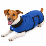 Waterproof Winter Dog Coat with Pocket & Padded Collar