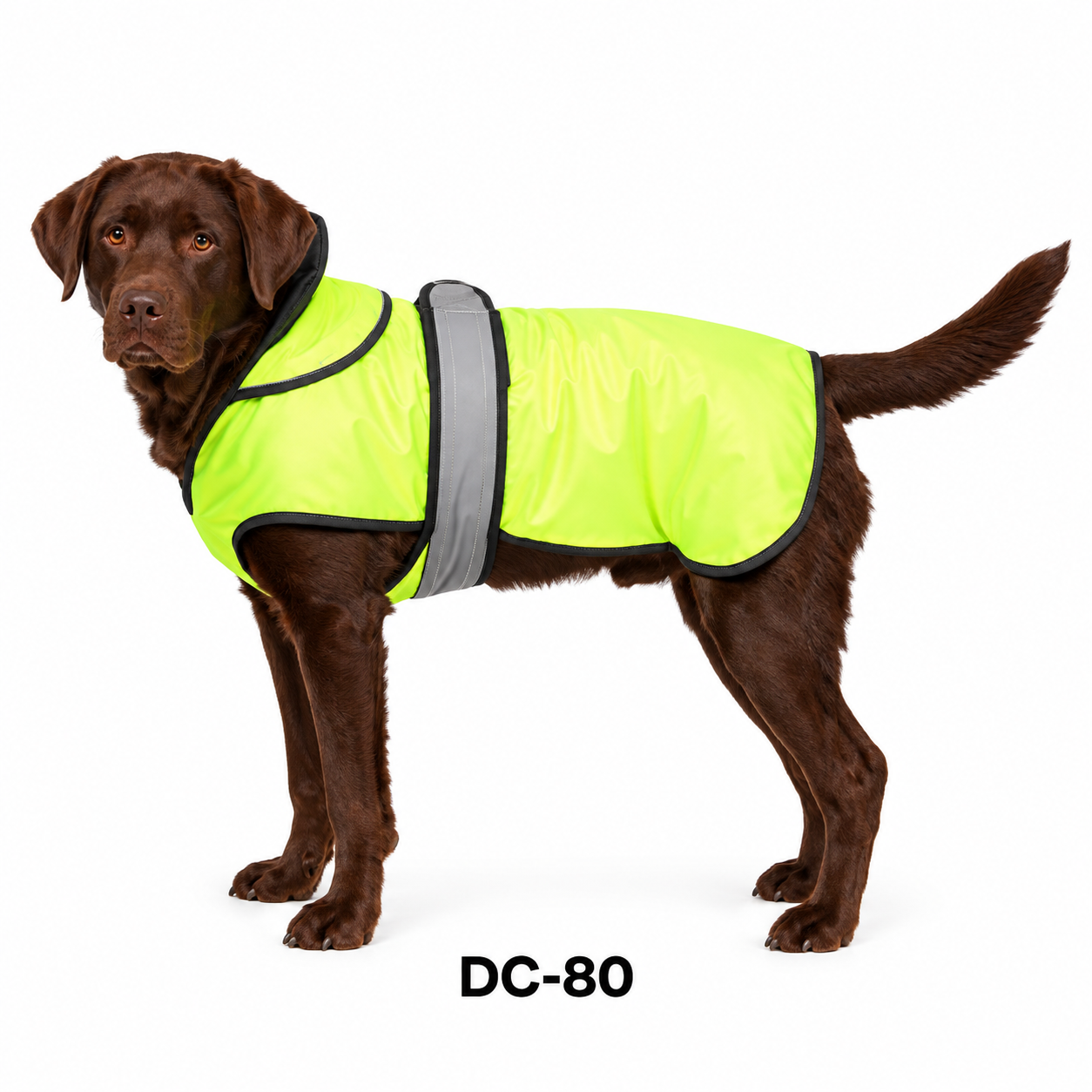 dc (7) High-Visibility Reflective Waterproof Dog Vest Jacket - Image 1