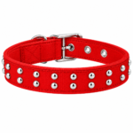 Premium Red Studded Dog Collar