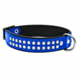 Premium Blue Studded Leather Dog Collar