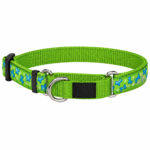 Premium Green Patterned Nylon Dog Collar