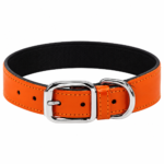 Premium Orange Leather Dog Collar