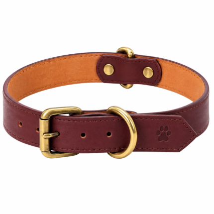 Premium Burgundy Leather Dog Collar with Gold Hardware